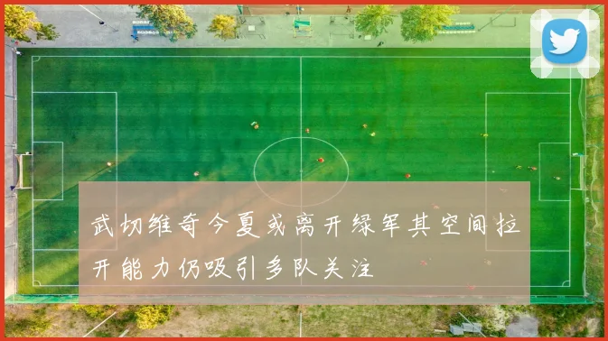 武切维奇今夏或离开绿军其空间拉开能力仍吸引多队关注