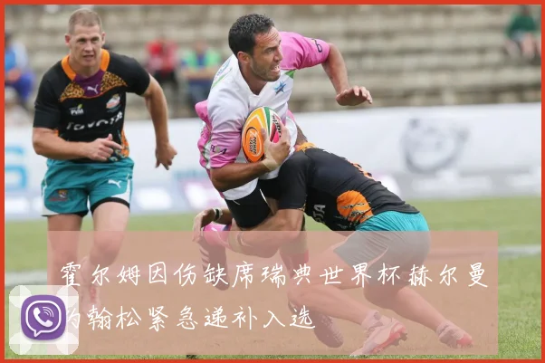 霍尔姆因伤缺席瑞典世界杯赫尔曼约翰松紧急递补入选